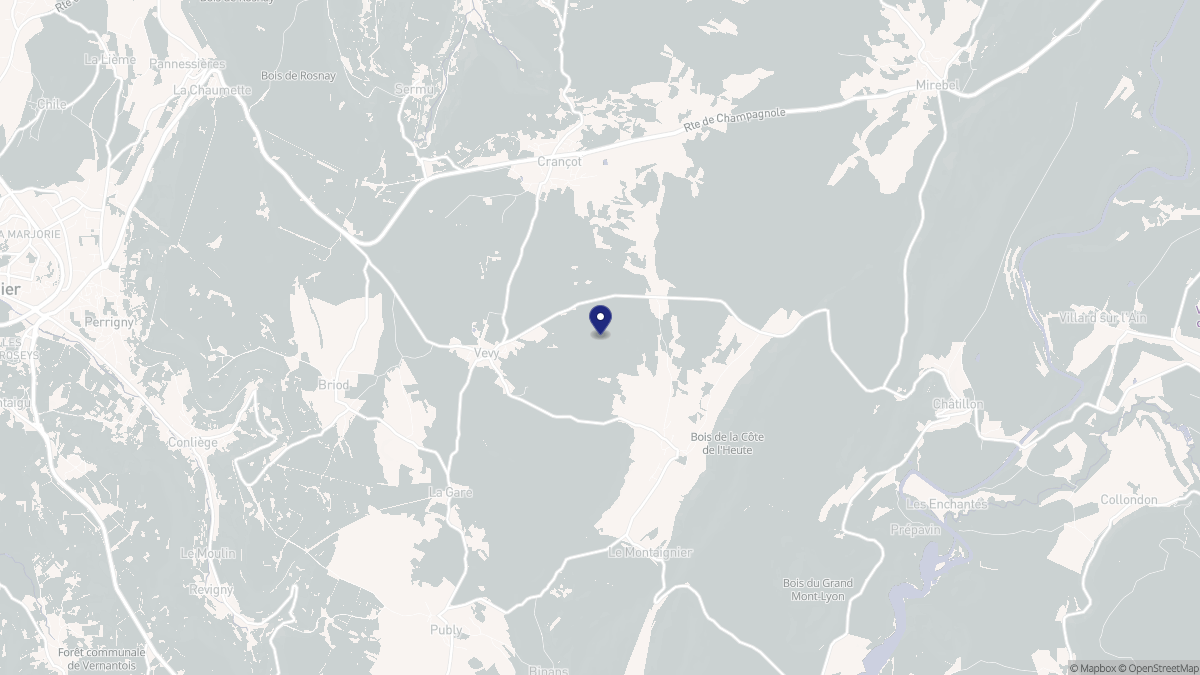 Aperçu cartographique de Vevy, centré sur la commune