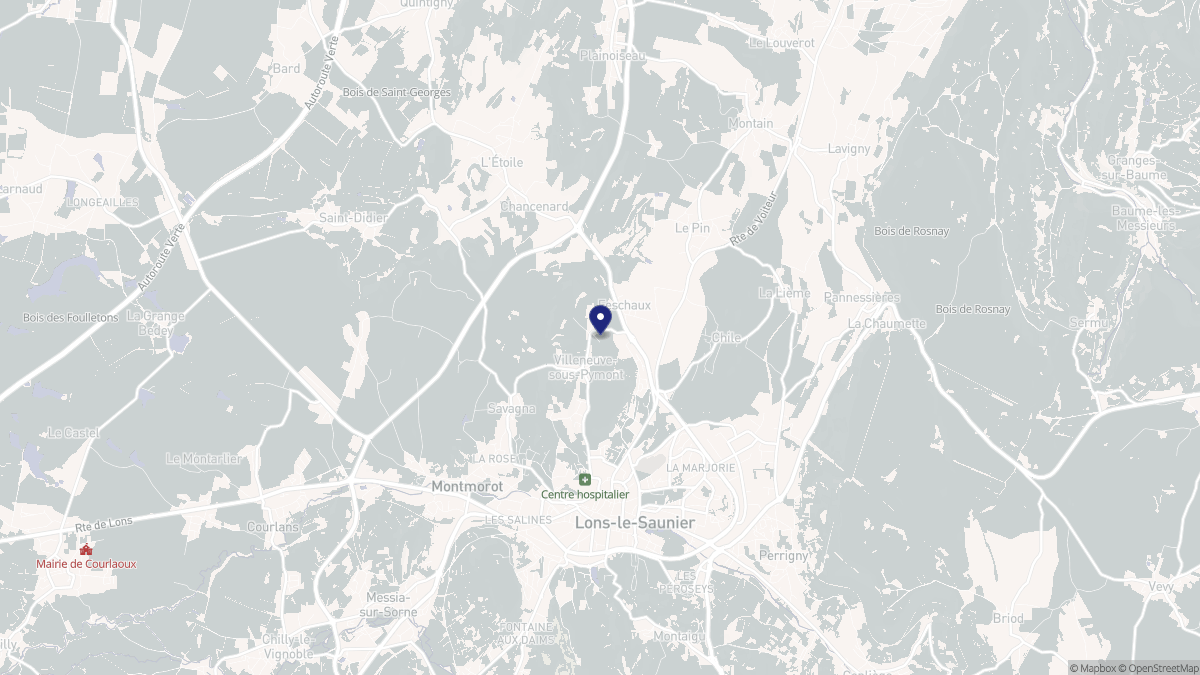 Aperçu cartographique de Villeneuve-sous-Pymont, centré sur la commune