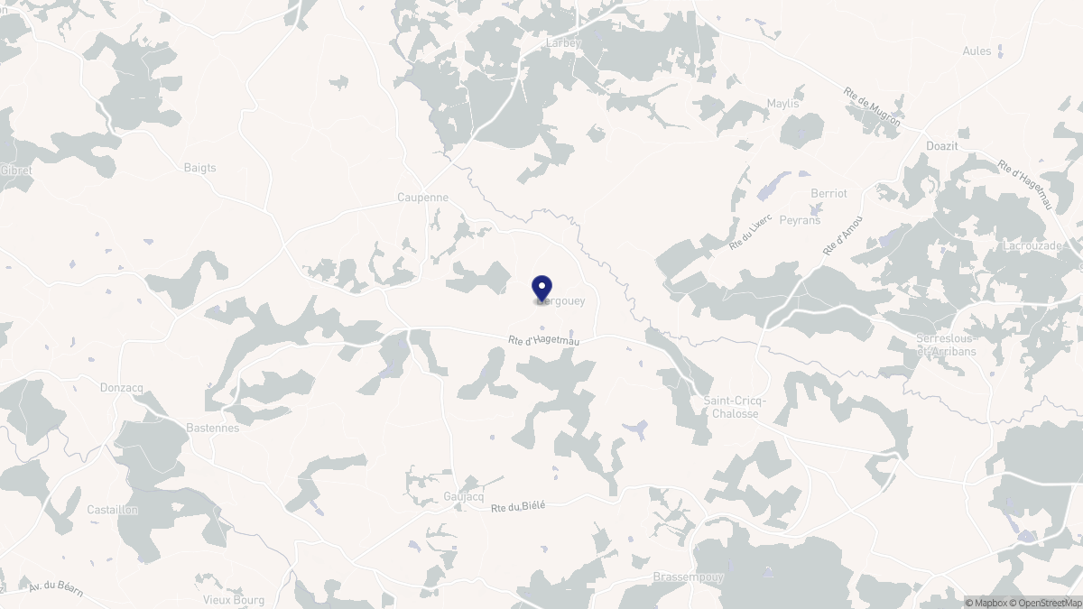 Aperçu cartographique de Bergouey, centré sur la commune