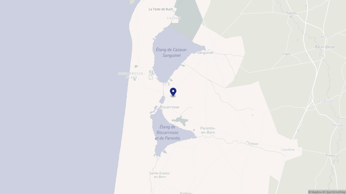 Aperçu cartographique de Biscarrosse, centré sur la commune