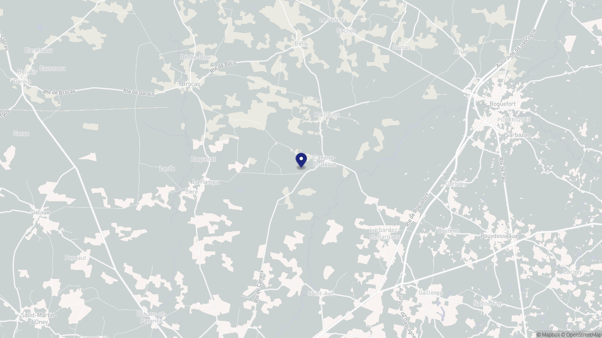 Aperçu cartographique de Canenx-et-Réaut, centré sur la commune
