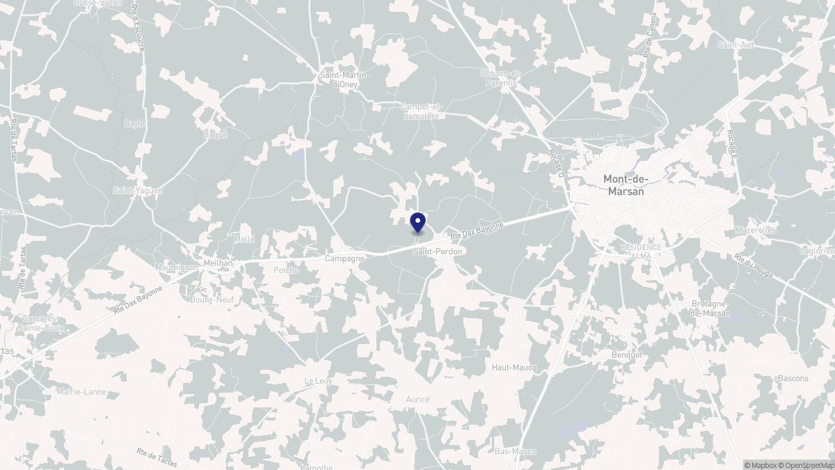 Aperçu cartographique de Saint-Perdon, centré sur la commune