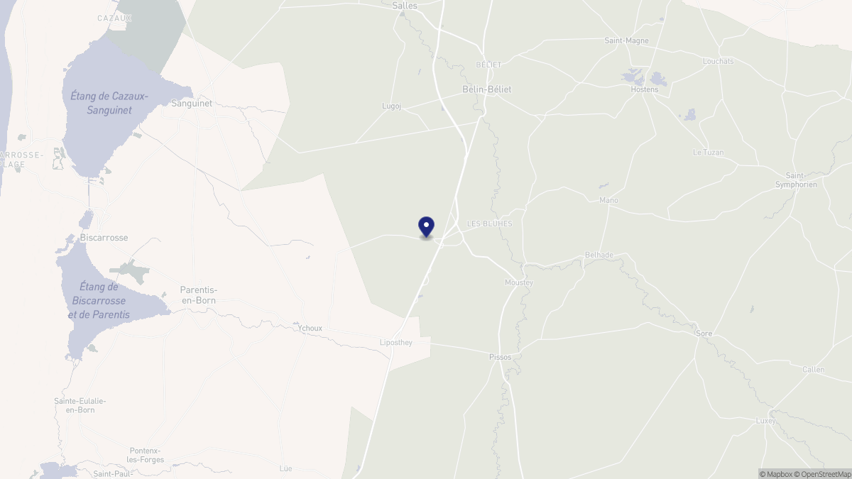 Aperçu cartographique de Saugnac-et-Muret, centré sur la commune