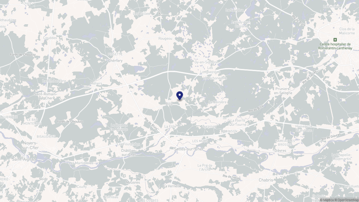 Aperçu cartographique de Billy, centré sur la commune