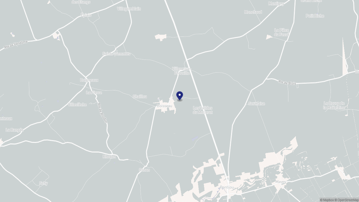 Aperçu cartographique de Boisseau, centré sur la commune