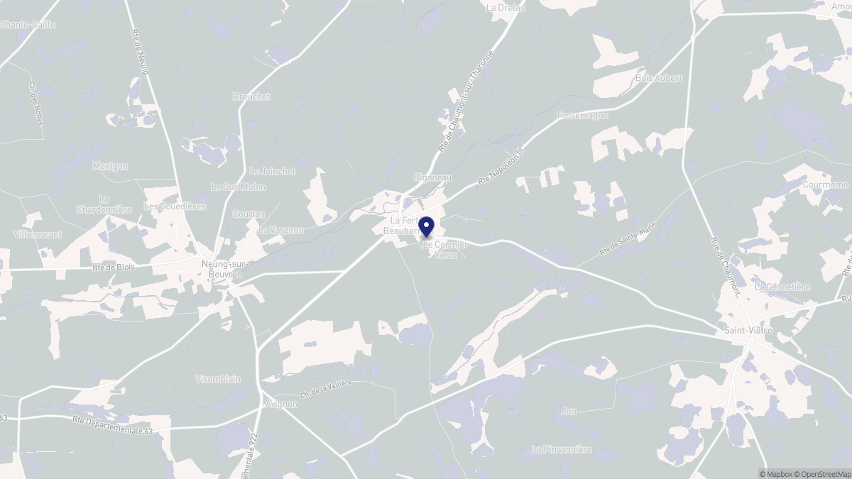 Aperçu cartographique de La Ferté-Beauharnais, centré sur la commune