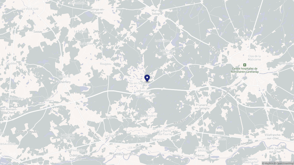 Aperçu cartographique de Gy-en-Sologne, centré sur la commune