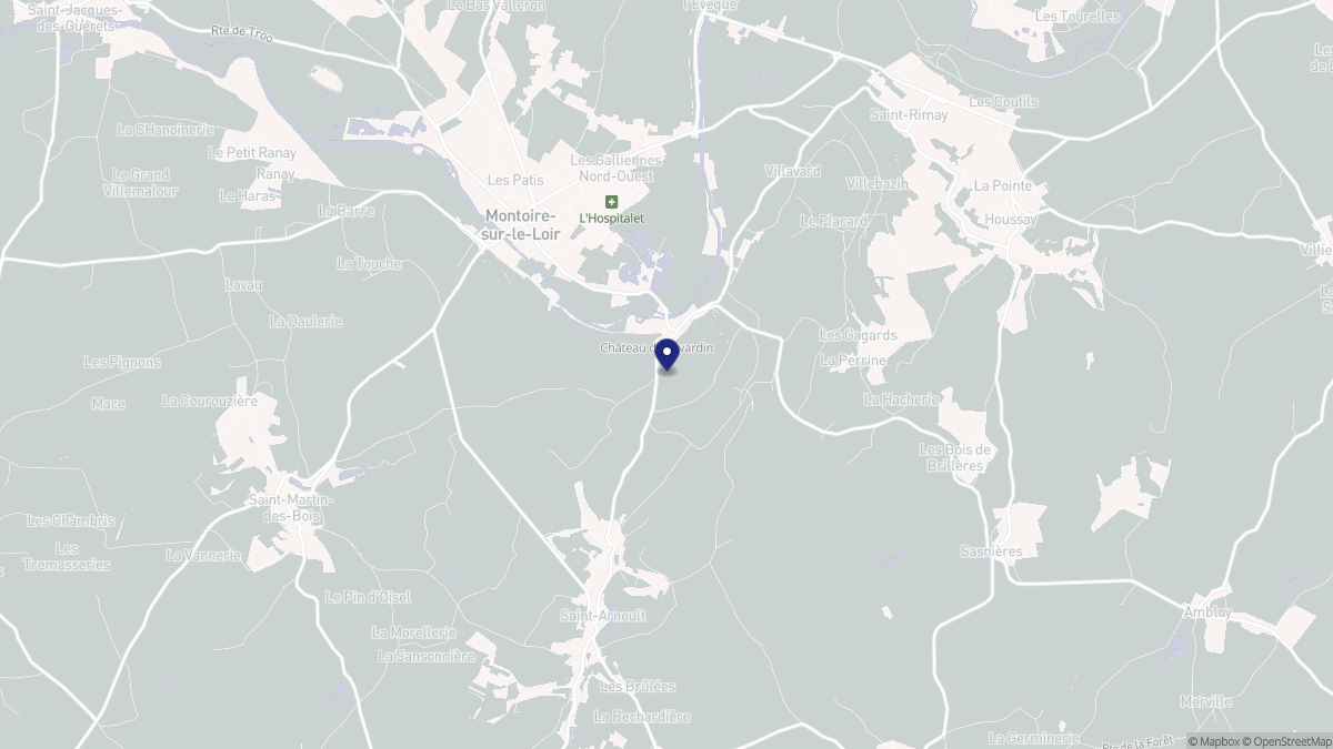 Aperçu cartographique de Lavardin, centré sur la commune