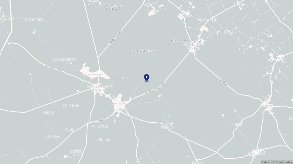 Aperçu cartographique de Marchenoir, centré sur la commune