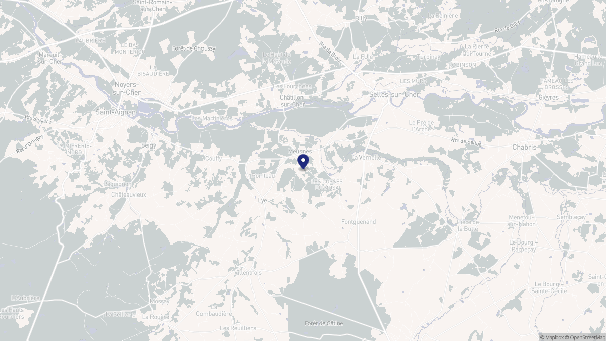 Aperçu cartographique de Meusnes, centré sur la commune