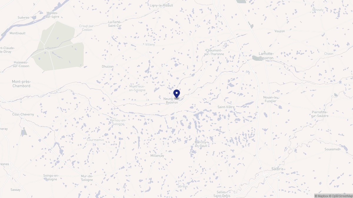 Aperçu cartographique de Neung-sur-Beuvron, centré sur la commune