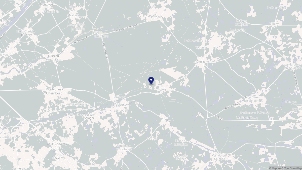 Aperçu cartographique de Neuvy, centré sur la commune