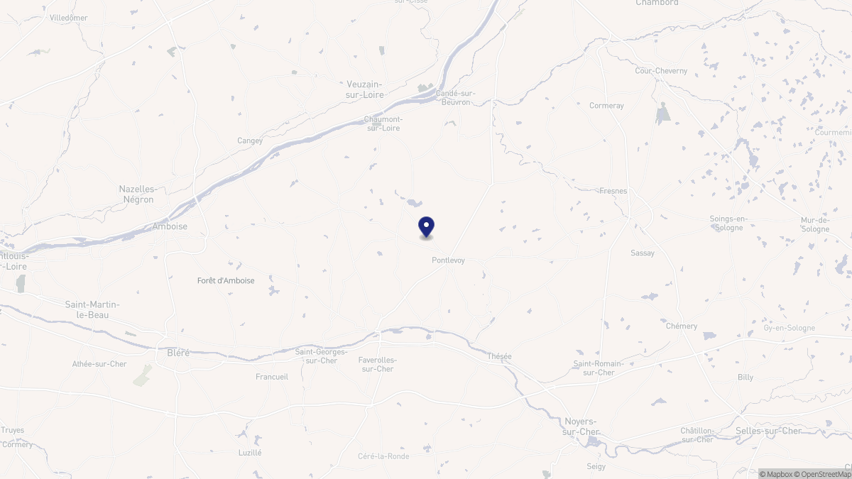 Aperçu cartographique de Pontlevoy, centré sur la commune