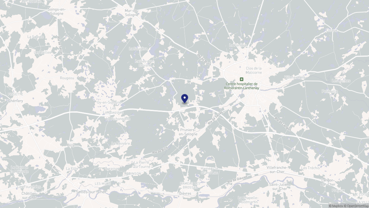 Aperçu cartographique de Pruniers-en-Sologne, centré sur la commune