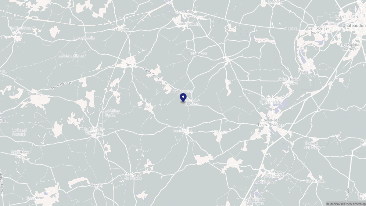 Aperçu cartographique de Ruan-sur-Egvonne, centré sur la commune