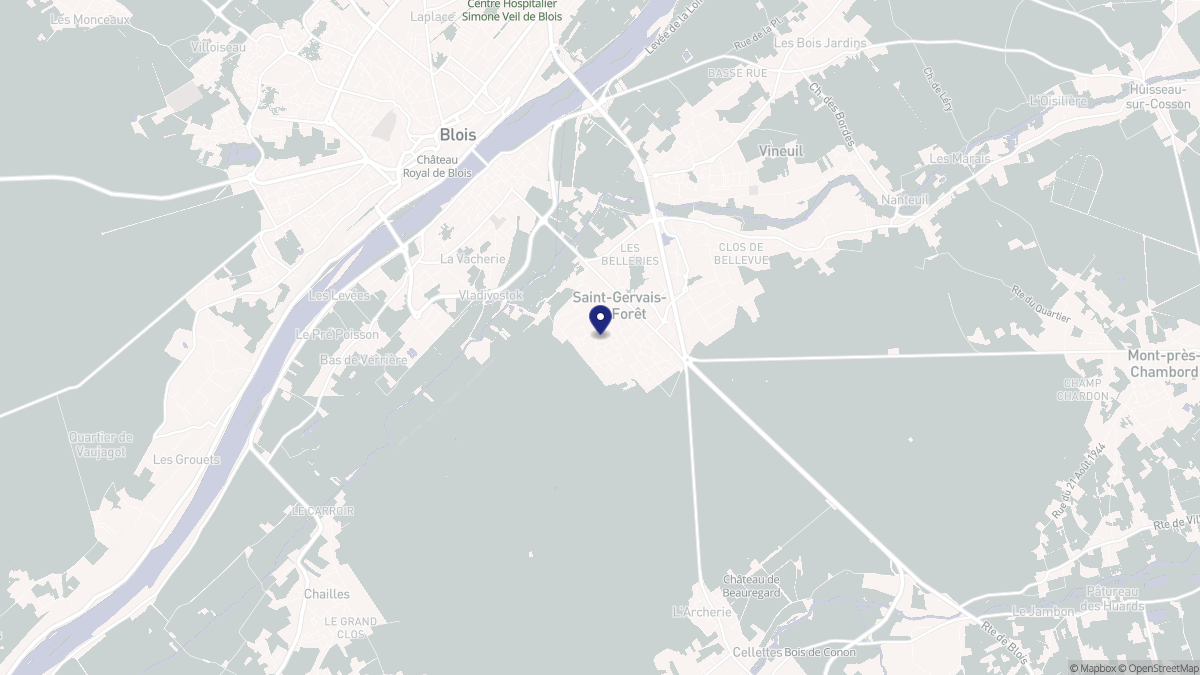 Aperçu cartographique de Saint-Gervais-la-Forêt, centré sur la commune