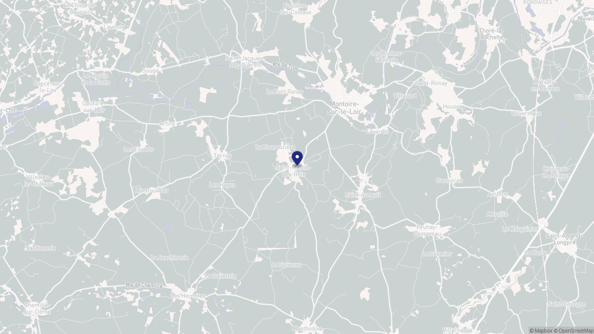 Aperçu cartographique de Saint-Martin-des-Bois, centré sur la commune
