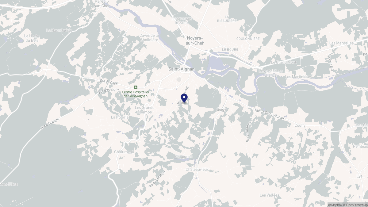 Aperçu cartographique de Seigy, centré sur la commune