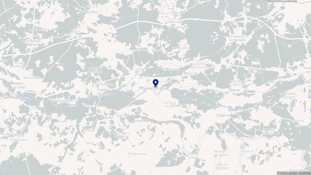 Aperçu cartographique de Selles-sur-Cher, centré sur la commune