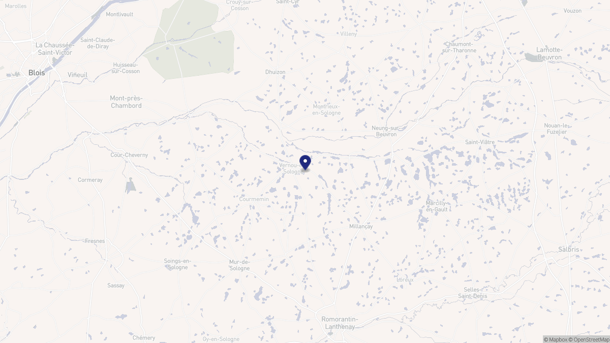 Aperçu cartographique de Vernou-en-Sologne, centré sur la commune