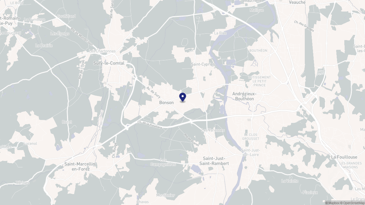 Aperçu cartographique de Bonson, centré sur la commune