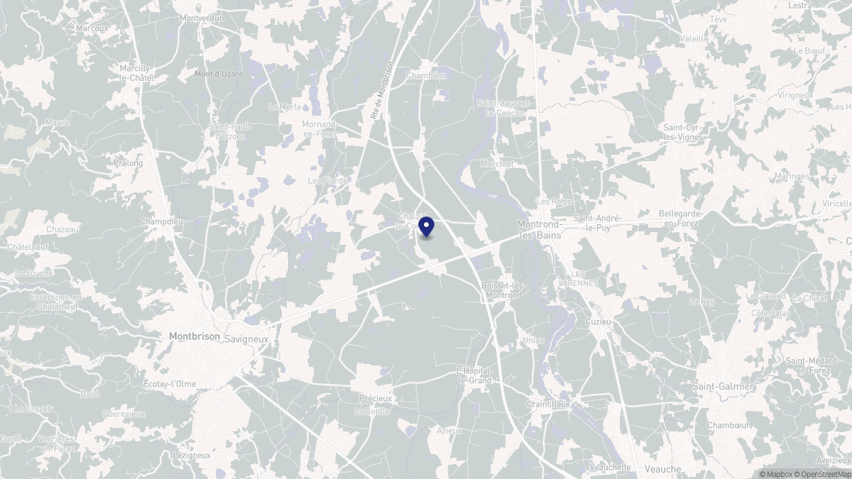 Aperçu cartographique de Chalain-le-Comtal, centré sur la commune