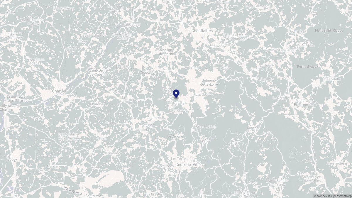 Aperçu cartographique de Écoche, centré sur la commune