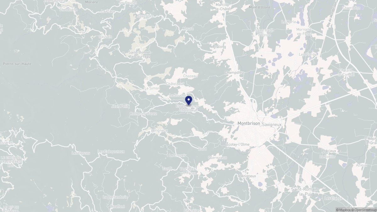 Aperçu cartographique de Essertines-en-Châtelneuf, centré sur la commune