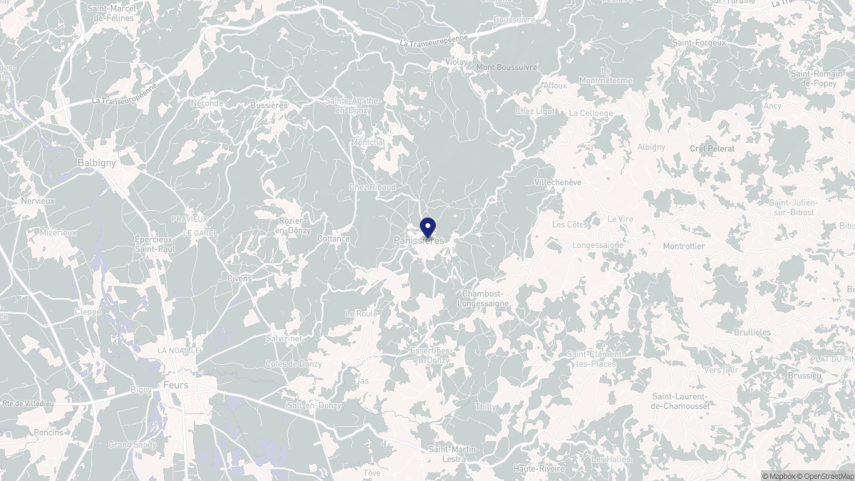 Aperçu cartographique de Panissières, centré sur la commune