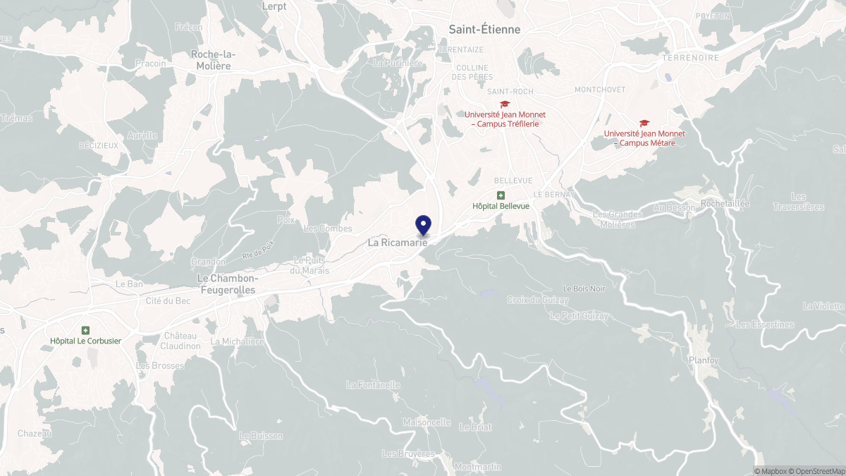 Aperçu cartographique de La Ricamarie, centré sur la commune