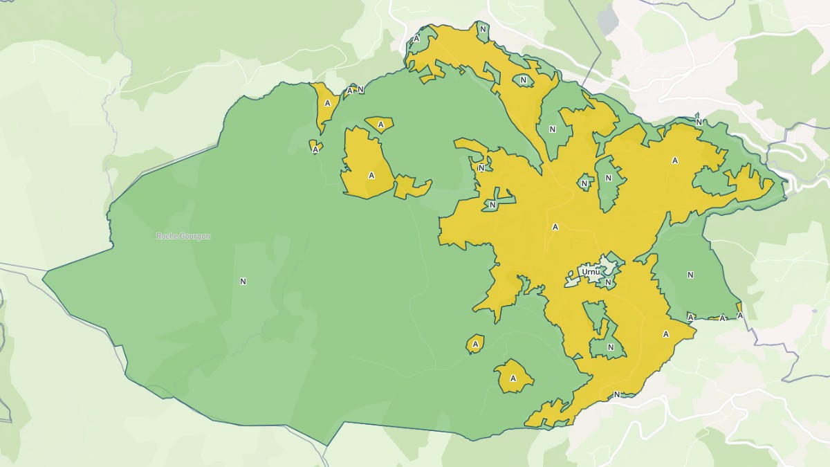 Aperçu cartographique de Roche-en-Forez, centré sur la commune