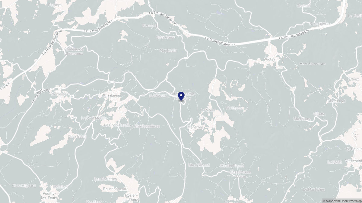 Aperçu cartographique de Sainte-Agathe-en-Donzy, centré sur la commune