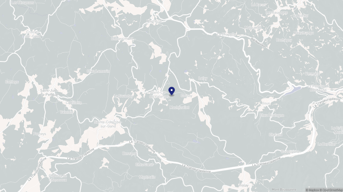 Aperçu cartographique de Saint-Cyr-de-Valorges, centré sur la commune