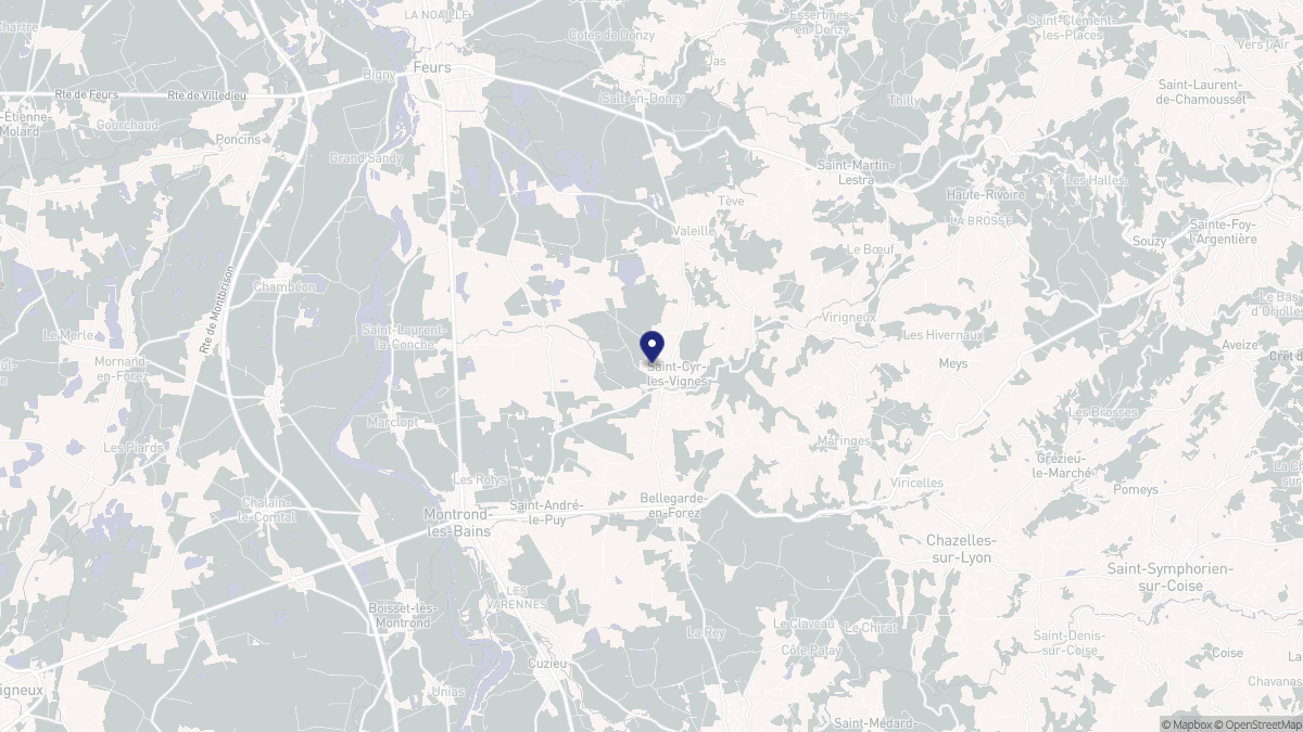 Aperçu cartographique de Saint-Cyr-les-Vignes, centré sur la commune