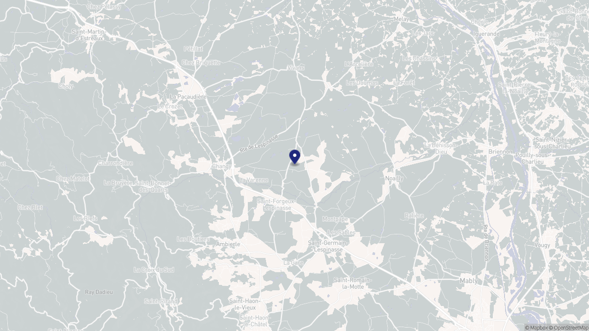 Aperçu cartographique de Saint-Forgeux-Lespinasse, centré sur la commune