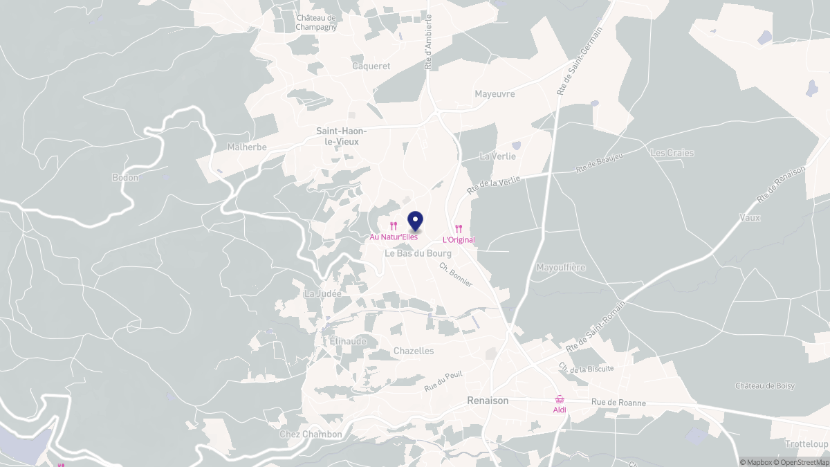 Aperçu cartographique de Saint-Haon-le-Châtel, centré sur la commune