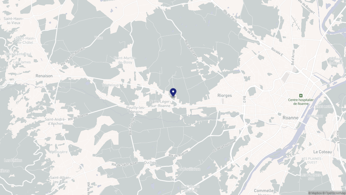 Aperçu cartographique de Saint-Léger-sur-Roanne, centré sur la commune