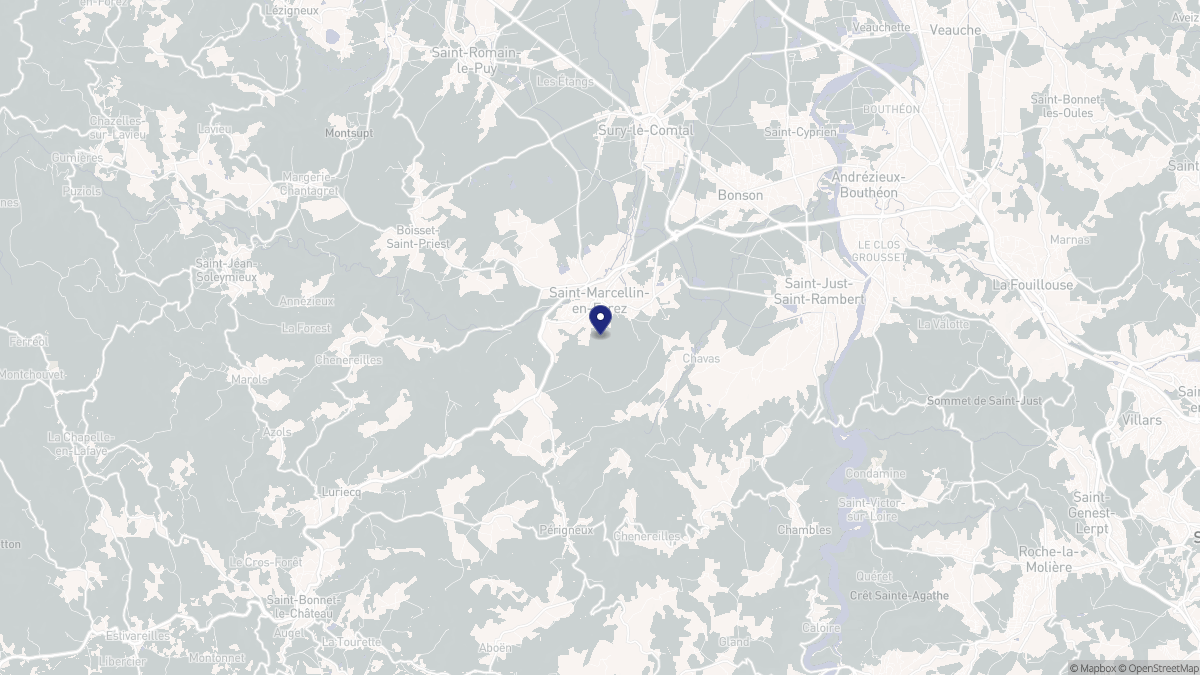 Aperçu cartographique de Saint-Marcellin-en-Forez, centré sur la commune