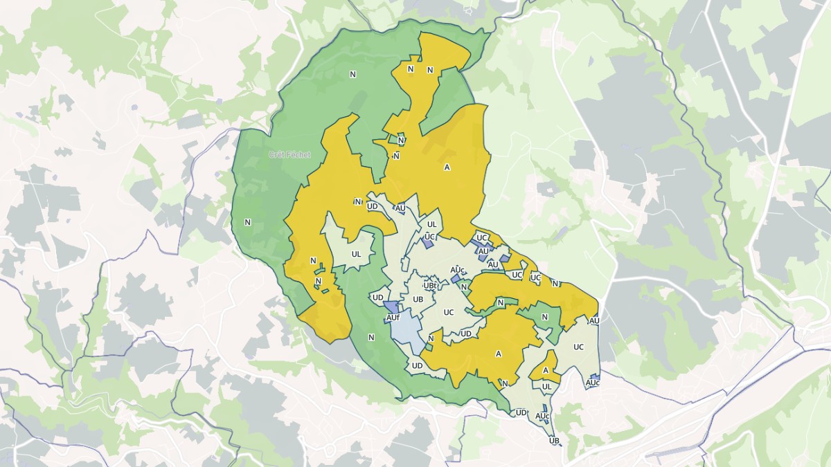 Aperçu cartographique de Saint-Martin-la-Plaine, centré sur la commune