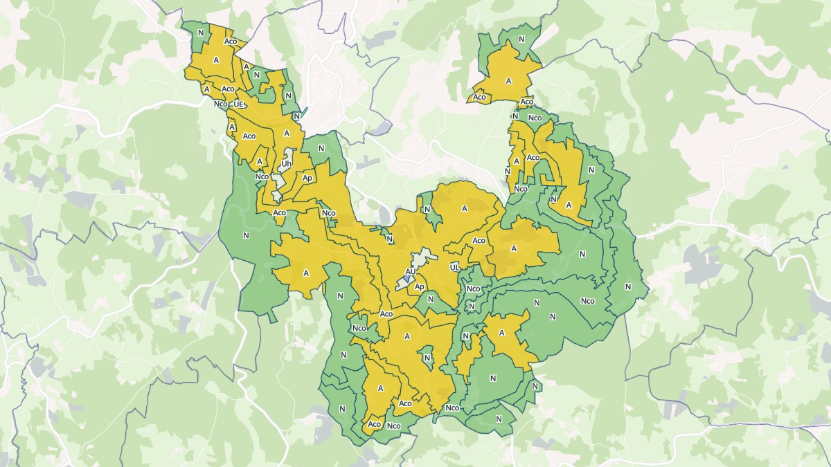 Aperçu cartographique de Saint-Nizier-de-Fornas, centré sur la commune
