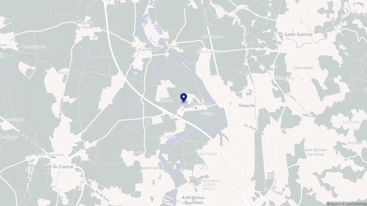 Aperçu cartographique de Veauchette, centré sur la commune