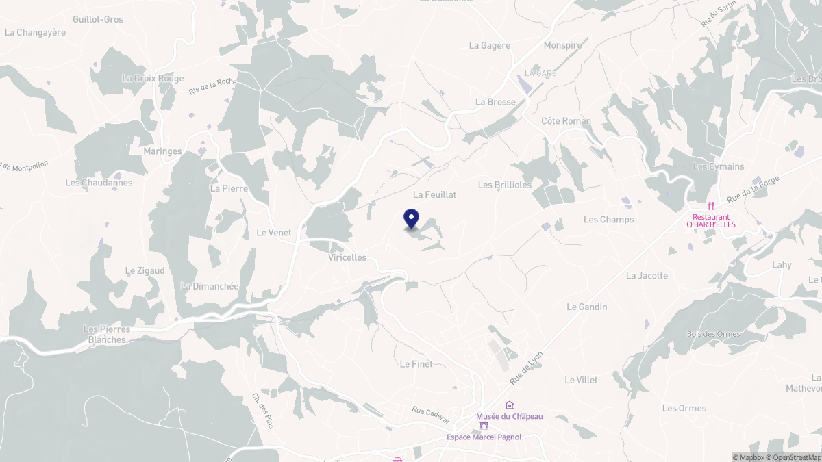 Aperçu cartographique de Viricelles, centré sur la commune
