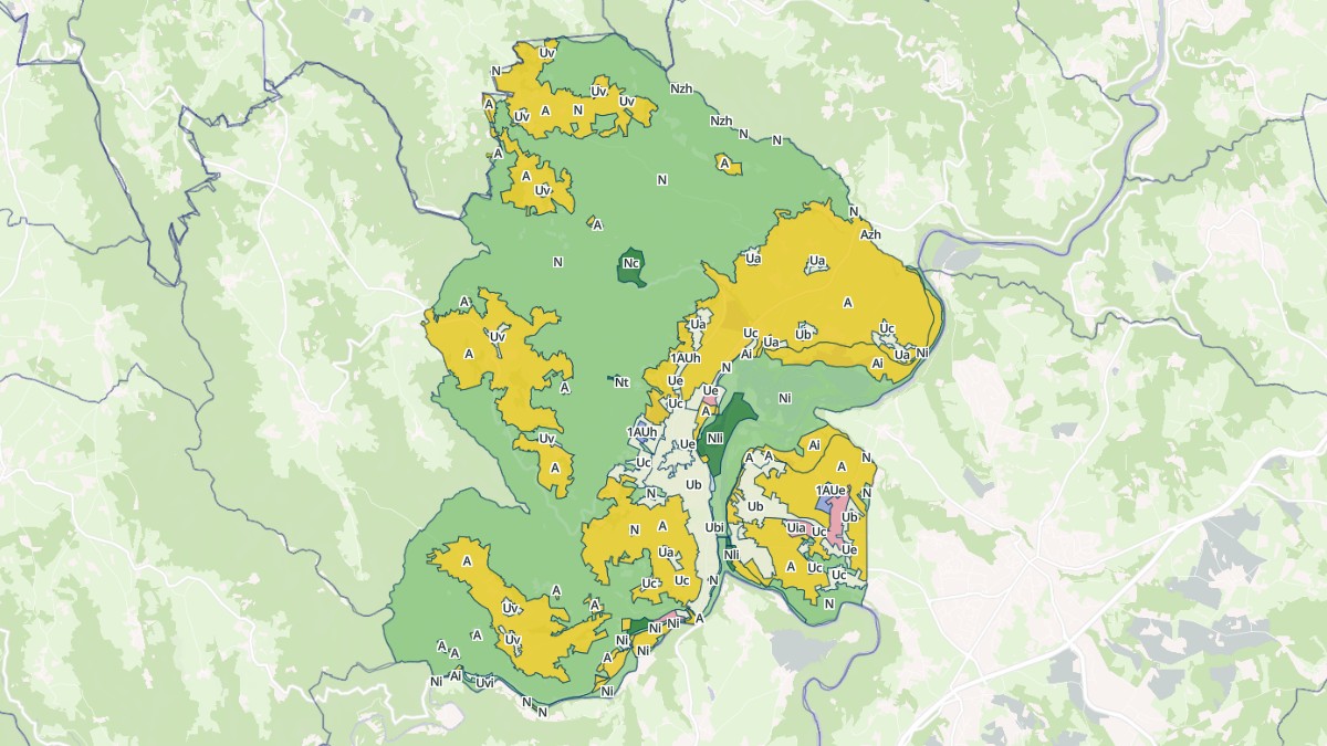 Aperçu cartographique de Bas-en-Basset, centré sur la commune