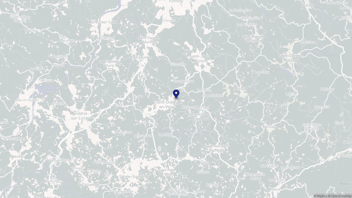 Aperçu cartographique de Saint-Didier-en-Velay, centré sur la commune