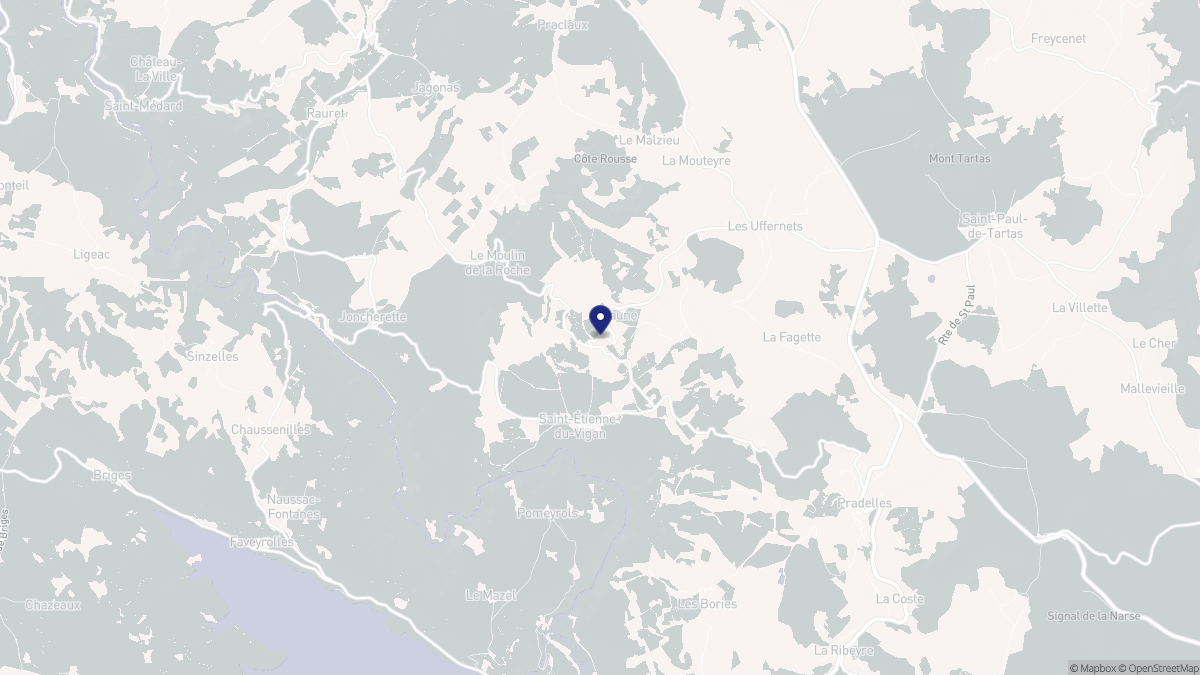 Aperçu cartographique de Saint-Étienne-du-Vigan, centré sur la commune