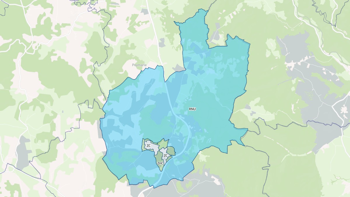 Aperçu cartographique de Saint-Geneys-près-Saint-Paulien, centré sur la commune