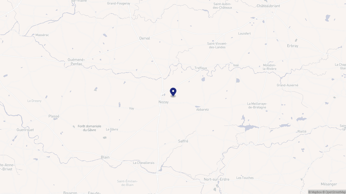 Aperçu cartographique de Nozay, centré sur la commune