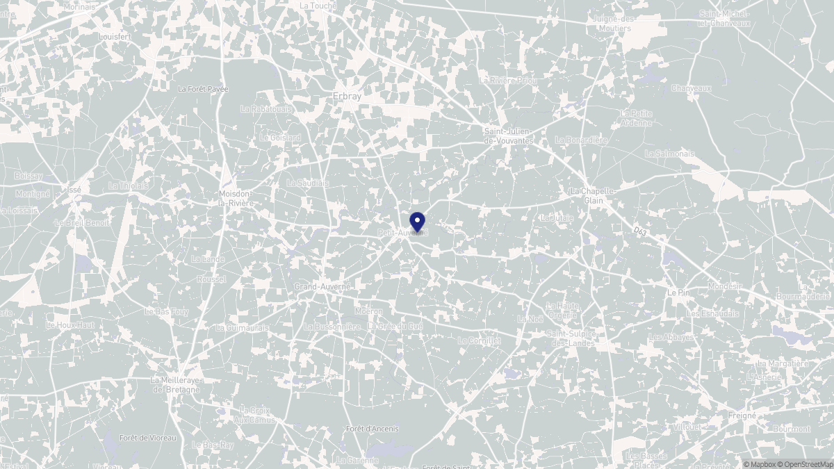 Aperçu cartographique de Petit-Auverné, centré sur la commune