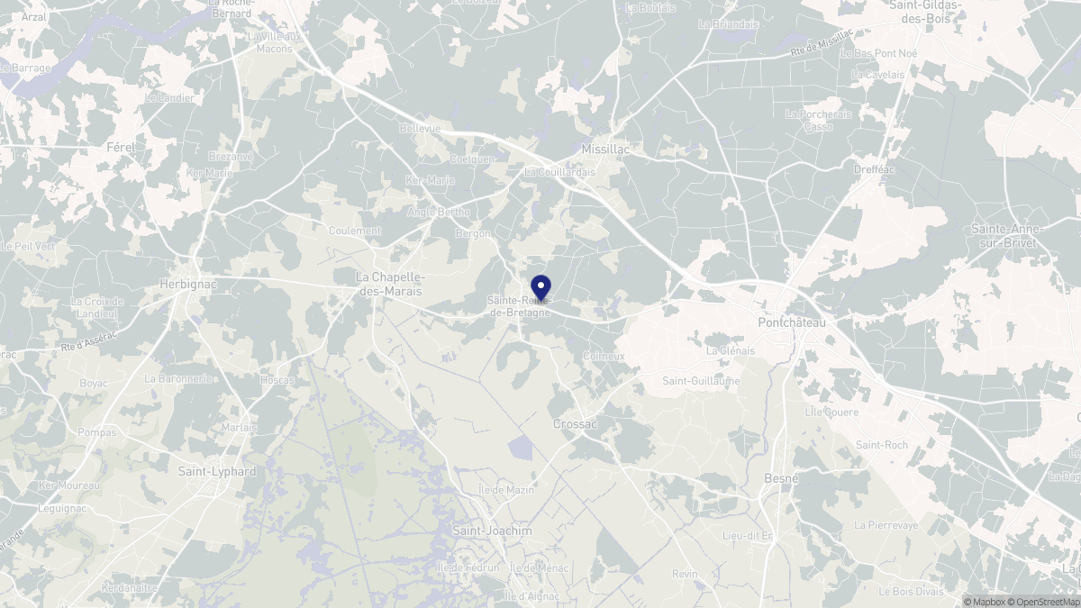 Aperçu cartographique de Sainte-Reine-de-Bretagne, centré sur la commune