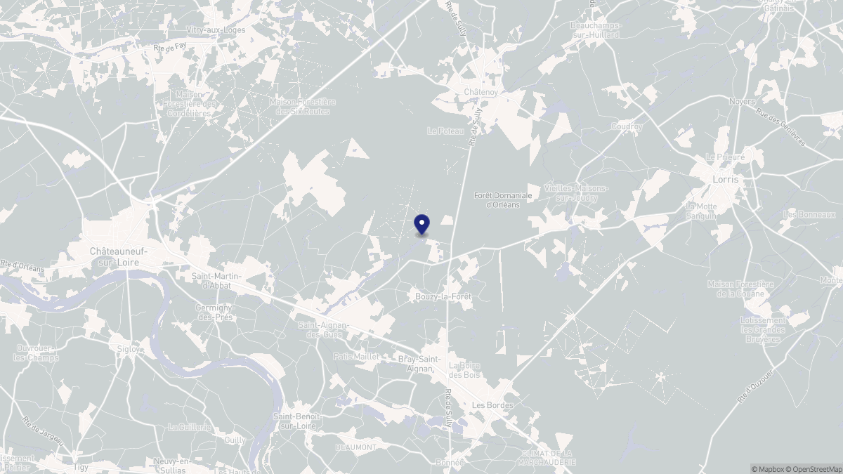 Aperçu cartographique de Bouzy-la-Forêt, centré sur la commune